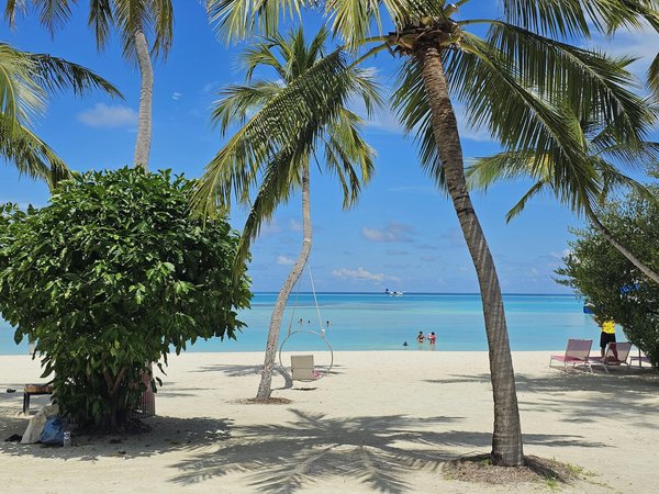 Comment organiser une visite des sites historiques de la Grèce antique?